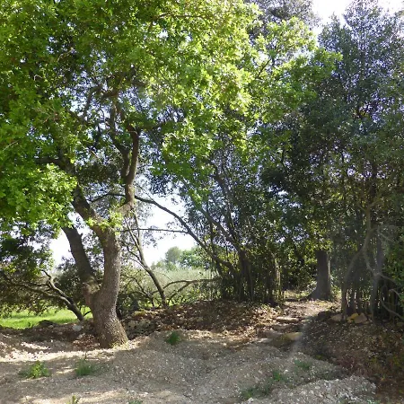 Le Mazet De Remy Holiday home Saint-Christol-les-Ales